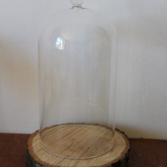 Cloche en verre