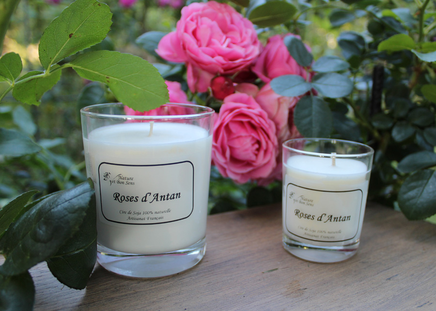 Bougies Roses d'Antan – NATURE ET BON SENS