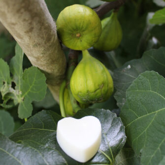 Cœur Fondant Figue Gourmande