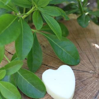 Coeur fondant Fleur d'Oranger