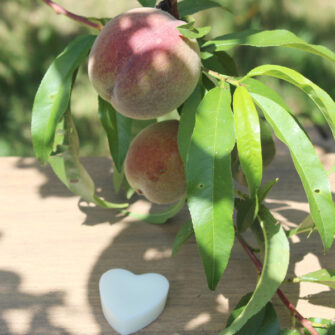 cœur fondant Gourmandise d'été