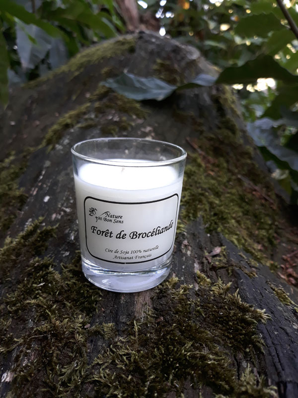 Bougies Forêt de Brocéliande – Image 3