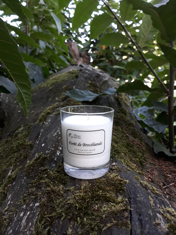 Bougies Forêt de Brocéliande – Image 2