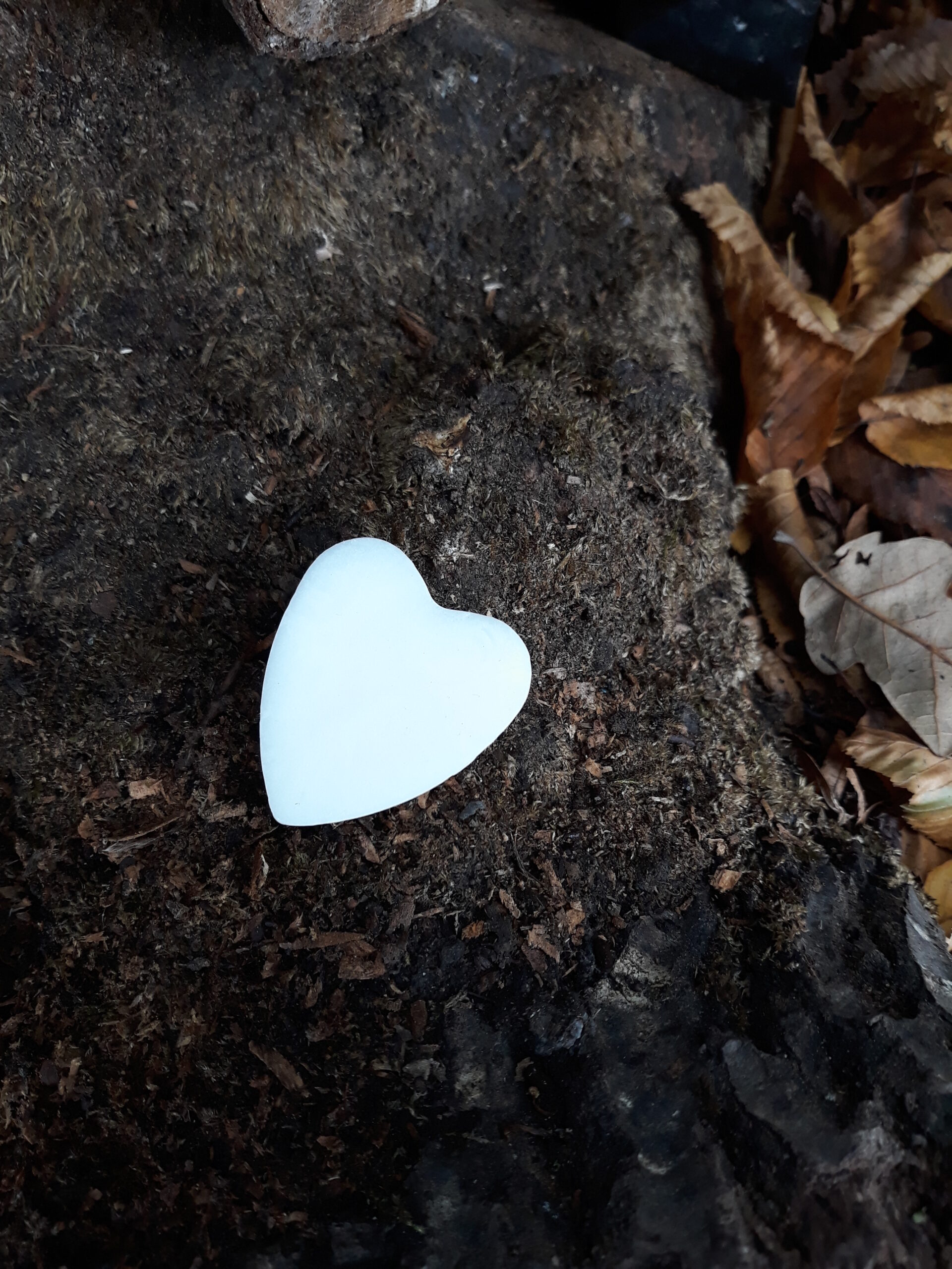 Cœur fondant Bois Précieux