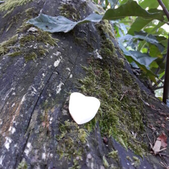 Cœur fondant Forêt de Brocéliande