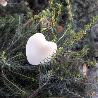 Coeur fondant Landes de Bretagne