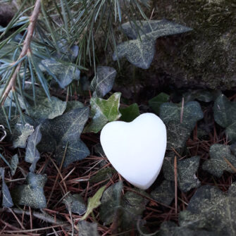 Coeur fondant orée du bois