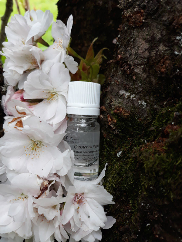 extrait de parfum d'ambiance cerisier en fleurs