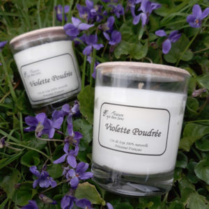 Bougies Parfumées Violette poudrée