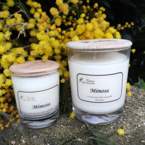 Bougies parfumées mimosa