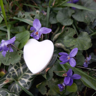 Coeur fondant Violette poudrée