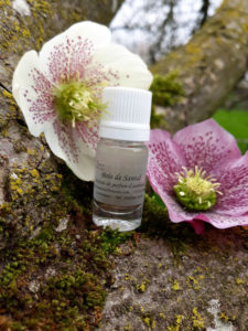 Extrait de parfum d'ambiance Bois de Santal - NATURE ET BON SENS