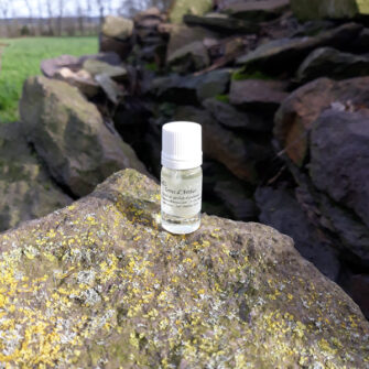 extrait de parfum d'ambiance terres d'arthur