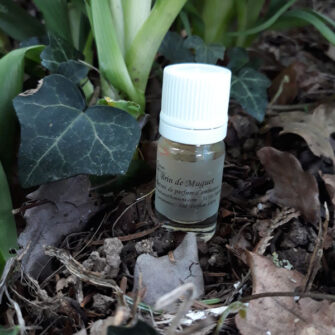 extrait de parfum d'ambiance brin de muguet