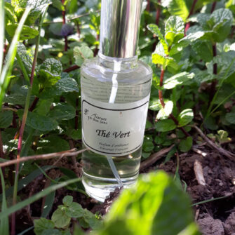 Parfum d'ambiance 100ml thé vert ambiance