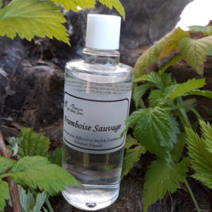 Recharge Framboise sauvage 100ml ambiance