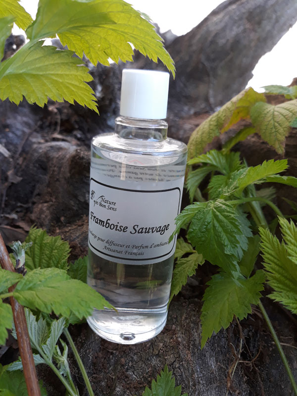 Recharge Framboise sauvage 100ml ambiance