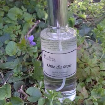 Parfum d'ambiance Orée du bois 100ml