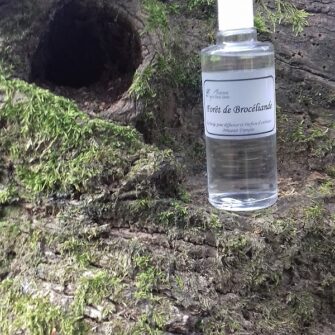 Recharge Forêt de brocéliande 100ml