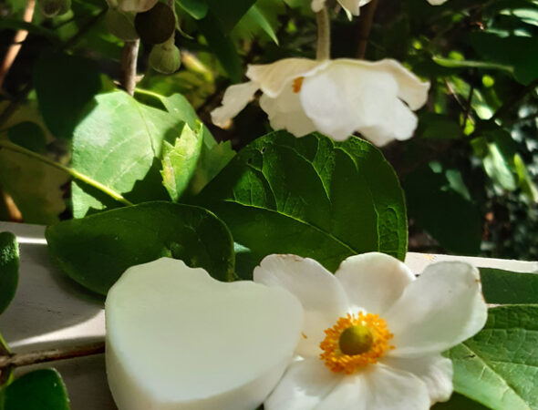 Fondant Parfumé à La Fleur De Tiaré - Bougie Artisanale - 100g - Fait Main En France - Neuf