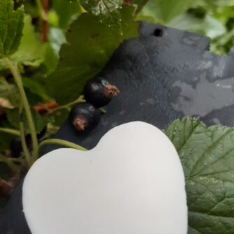 Cœur fondant Baies de Cassis