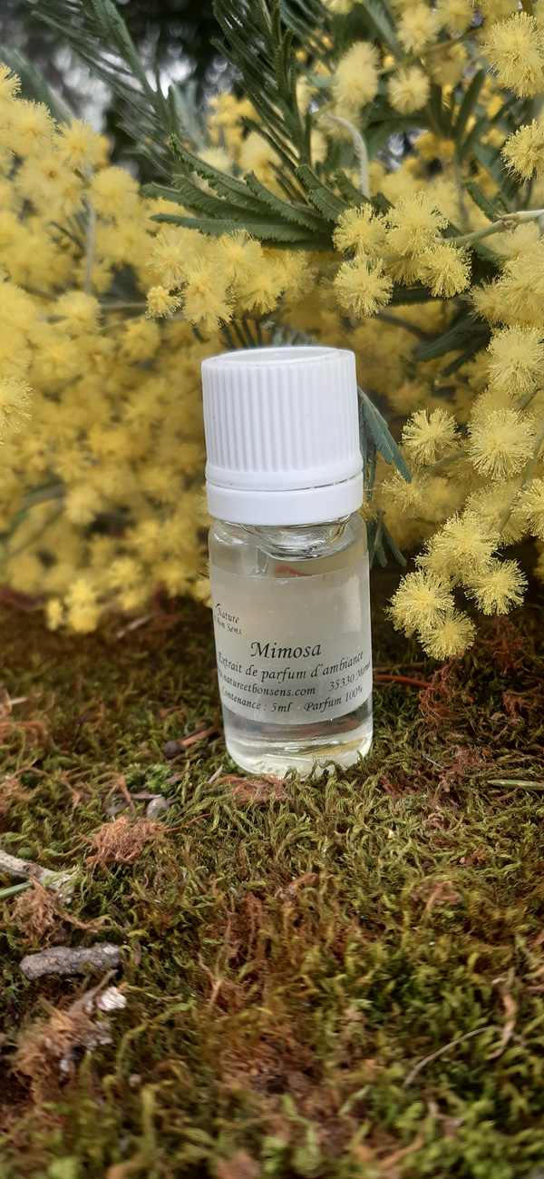 extrait mimosa