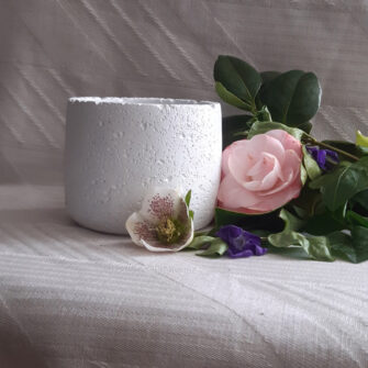 pot ciment sablé blanc ambiance