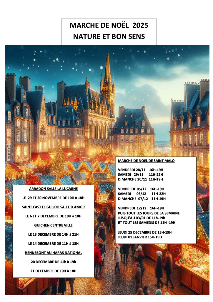 marche de noel 2025 jpeg