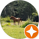 Fanny E profile picture